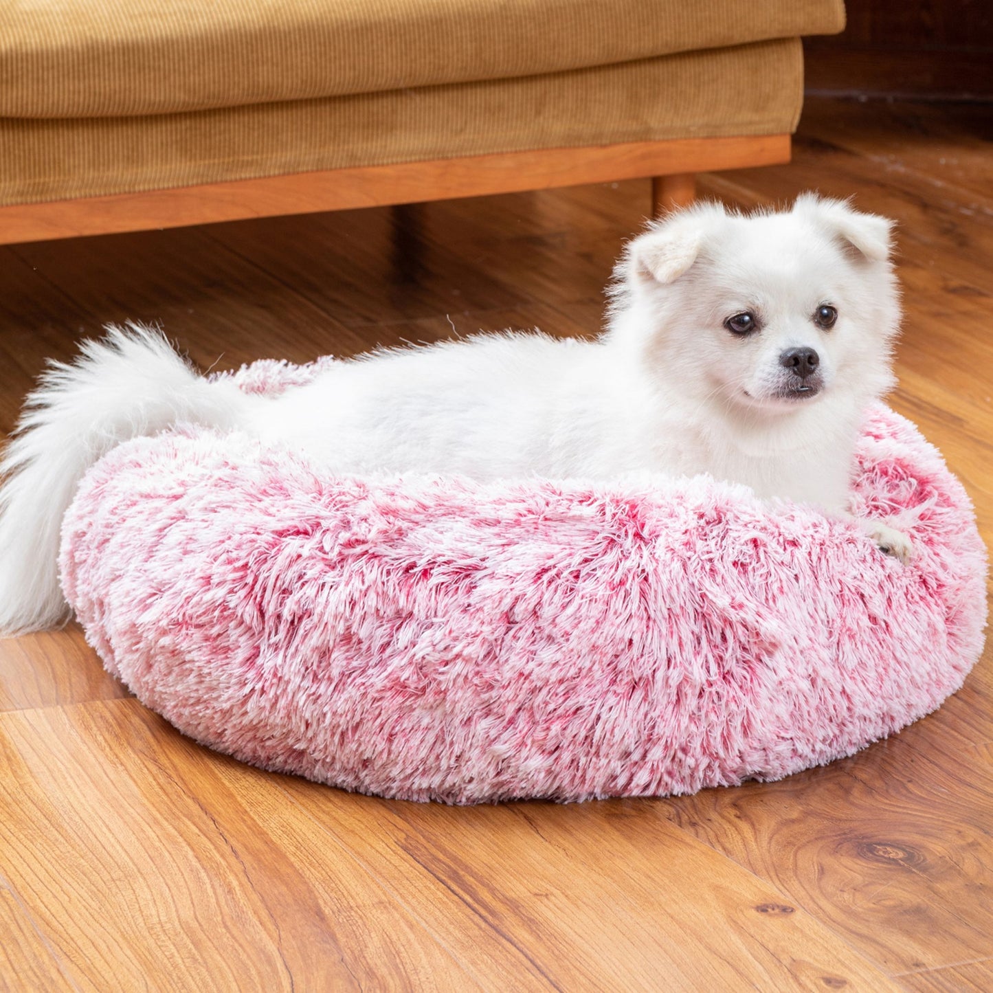 Fluffy Donut Dog Bed ποΈ β Calming, Cozy & Washable Pet Haven πΆπ±