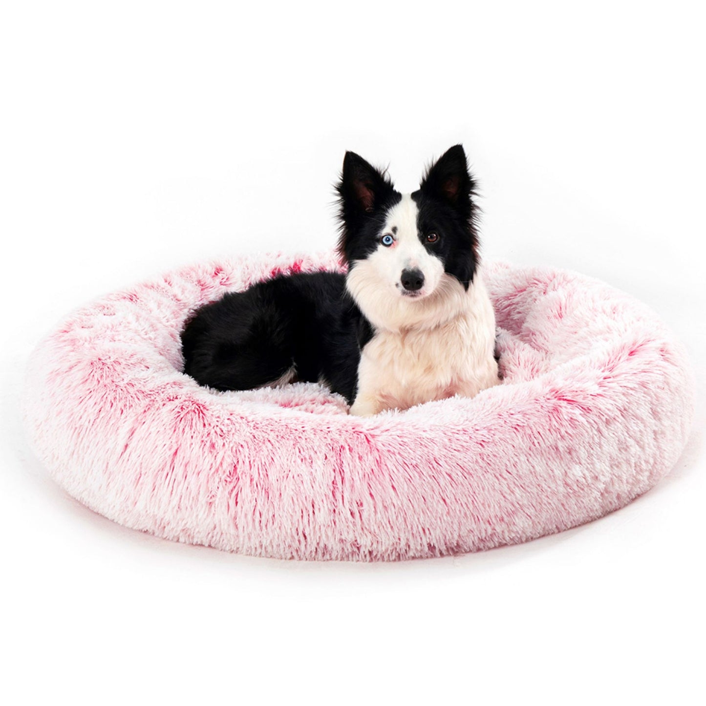 Fluffy Donut Dog Bed 🛏️ – Calming, Cozy & Washable Pet Haven 🐶🐱